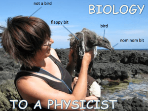 biology_physics_ilovegulls